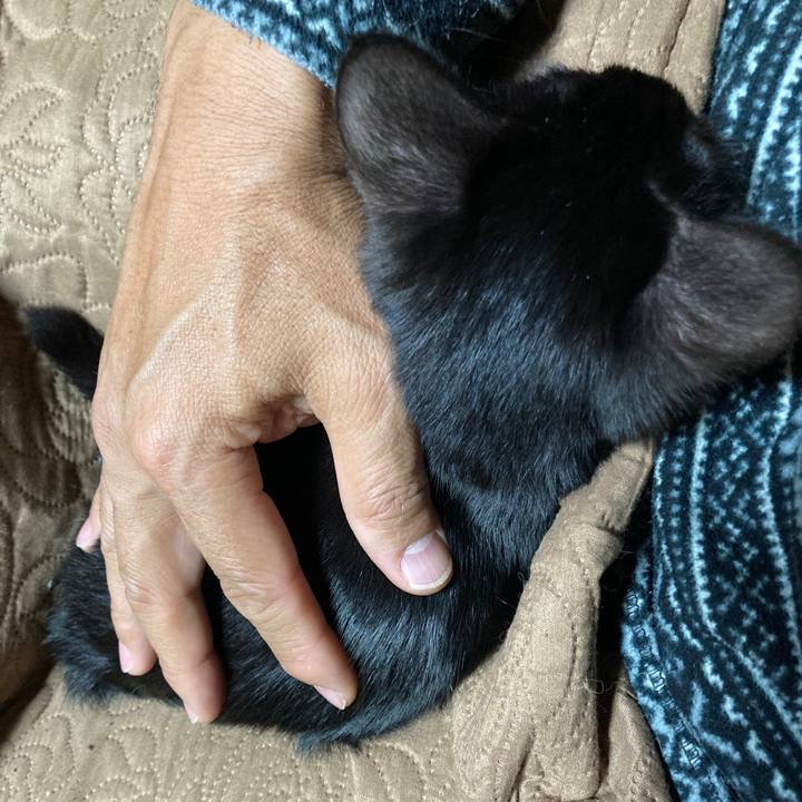 35870fdf 3f44 49a8 8317 3227cb36c84f 1643368873869