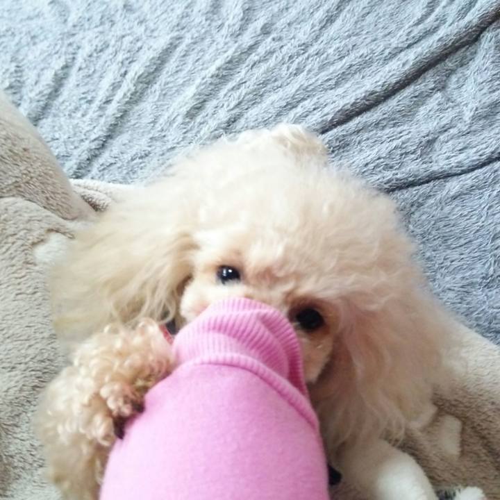 35871045 597d 4dc4 8046 e3963729361c 1515670431495