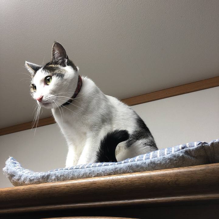 35878490 538b 49a7 98f8 d01a4d3fcdbe 1671535448855