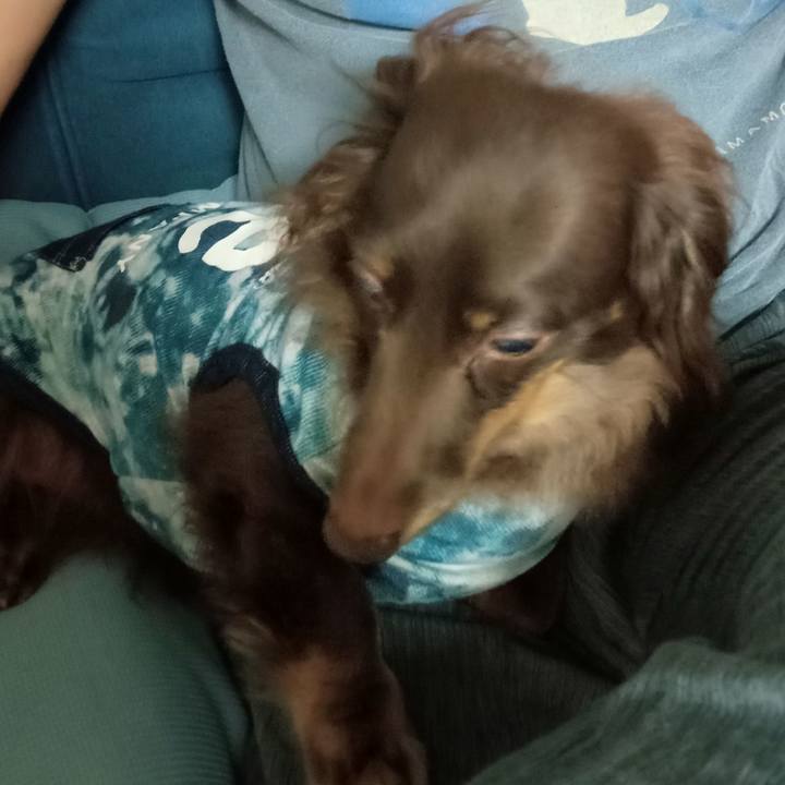 35878a06 faeb 4a32 81b7 881b24900ae5 1758059084257