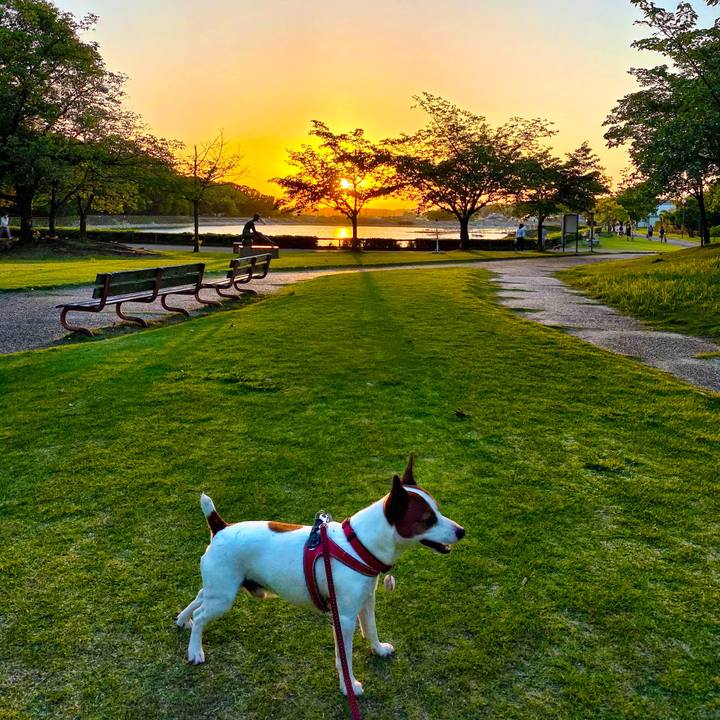 358799f3 78fd 4810 921a c0216b1cf7e6 1589204422532