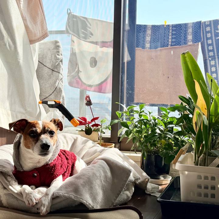 3587c112 37c8 46c0 9b9e 6ec5bb99adb8 1772758327917