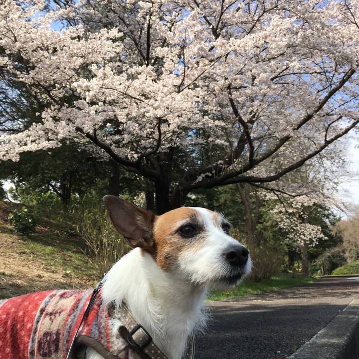 3587d411 53f1 4962 af48 6be20d270089 1554002452997