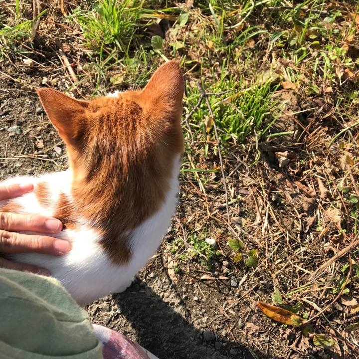 35887332 cae2 4273 8258 b632e1f6dea7 1541907253544