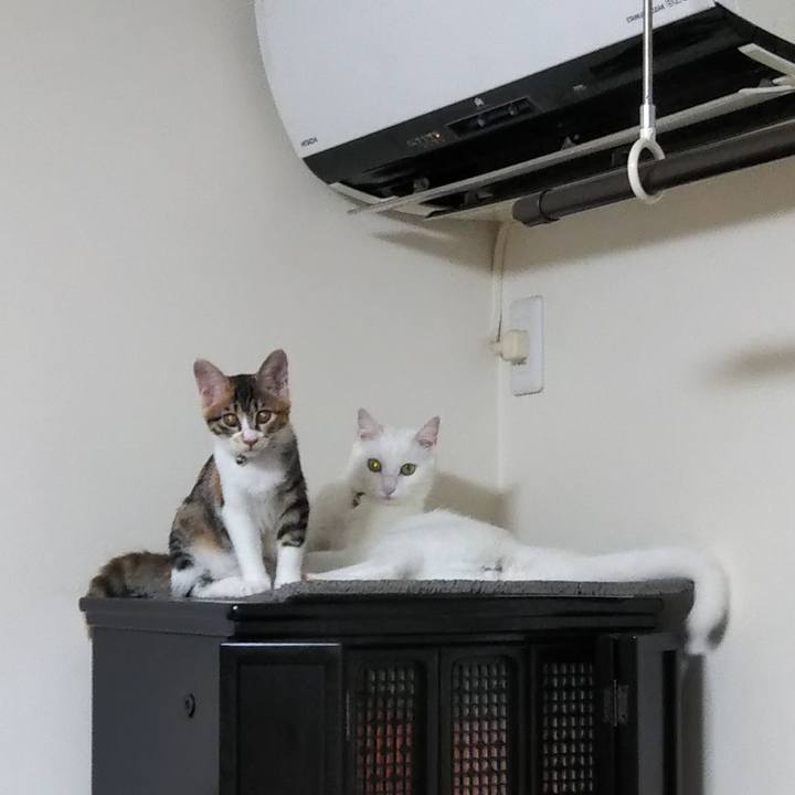 35887e9c cb88 4a2f 8e42 b9699d082998 1628671526228