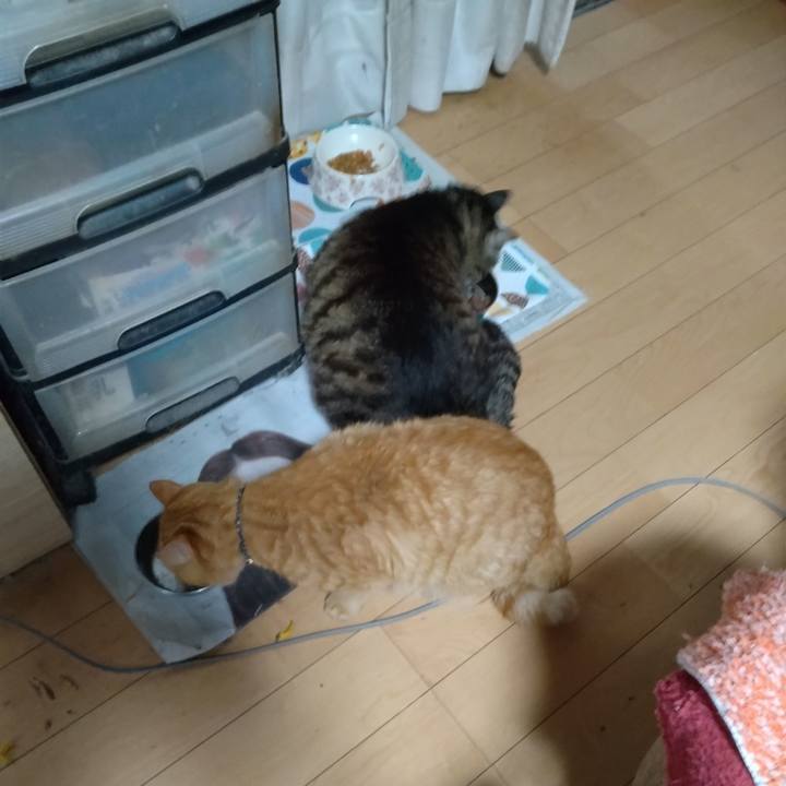 35887f33 0d6b 4576 83cc e99daf6d06eb 1721118884056