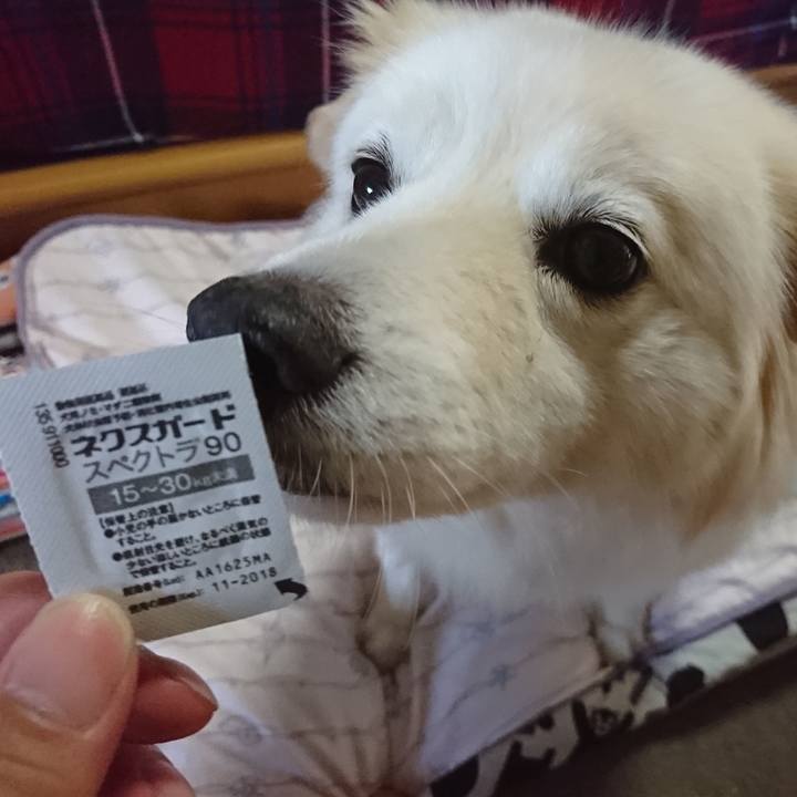 3588b654 2443 42e4 8b70 f27e9a82a846 1527804151806