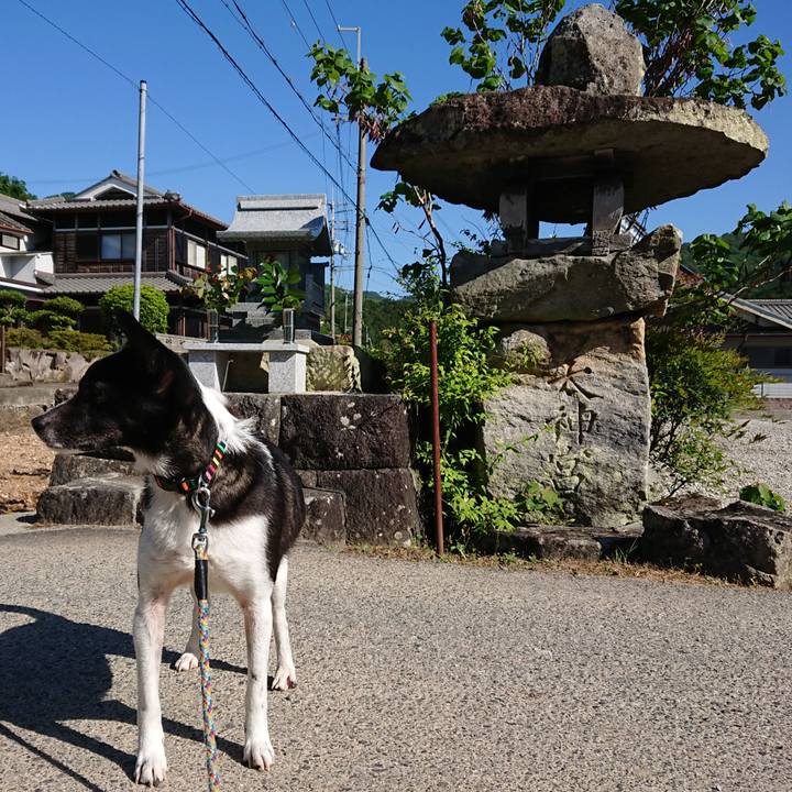 35890c53 73fa 41d2 a035 e7b627ba58d9 1558568625910