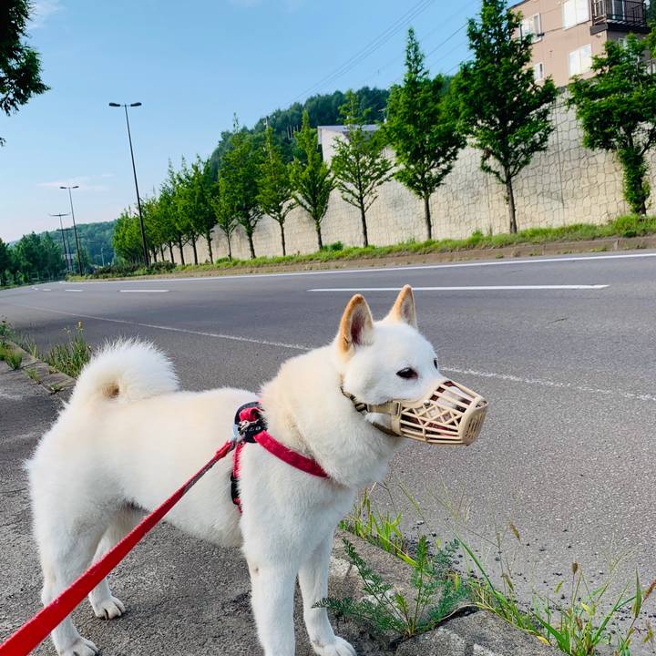 35896d07 59b7 4805 bbe7 b411ec81e585 1564868422628