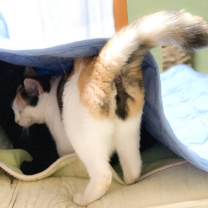 35898ebc cd67 40af 89db 1c88fa2c82dd 1570411195612