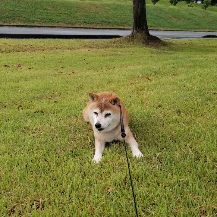 3589a7e0 457e 41f4 b0f0 2d9b3120eaf5 1723711104647