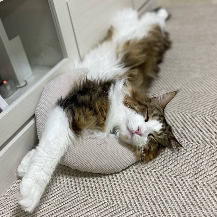 3589a8af 94ab 4139 81b3 93580c4671e7 1670278204958