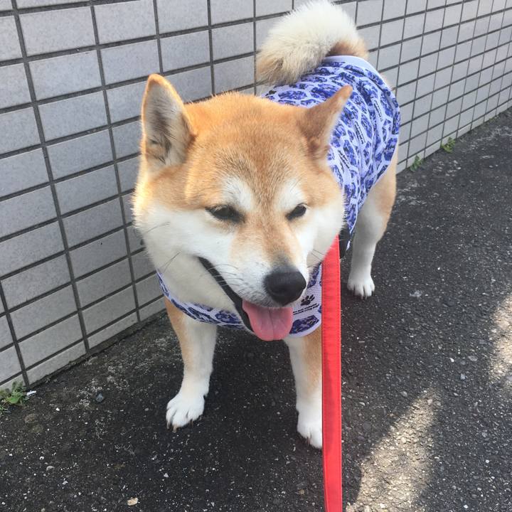 3589ac9e 92c5 4400 81c6 f8ddbb32533b 1588651236126