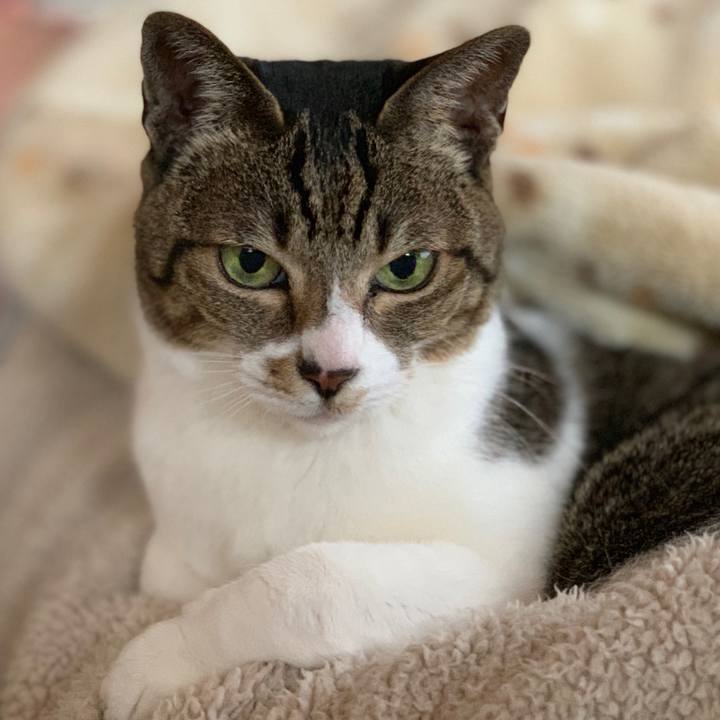 3589ff00 2d19 49a2 af84 5584efd4d200 1550884039815