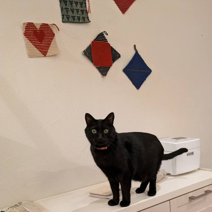 358a01fe 93c6 4542 a2b4 bc621d655fca 1762310717454