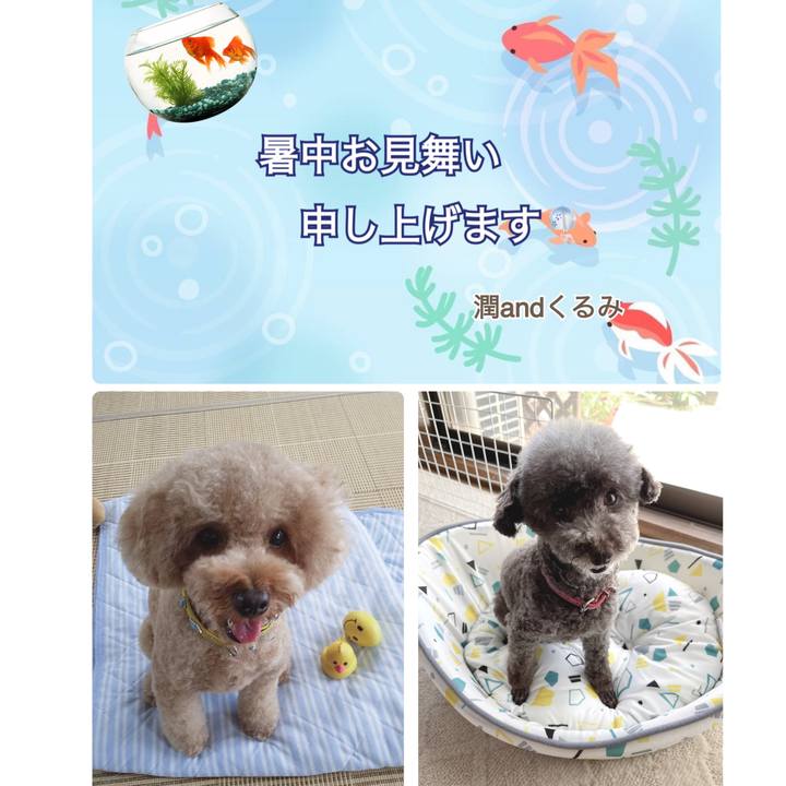 358a4634 91c6 455d af63 d261dc2df970 1690440248460