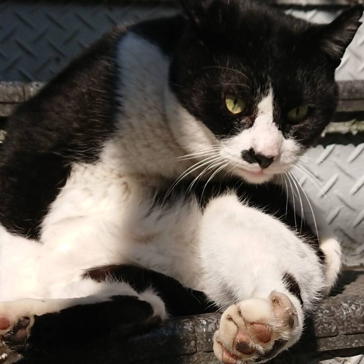 358a64bf a391 43e9 b80f 3551c4a72b05 1552117572083