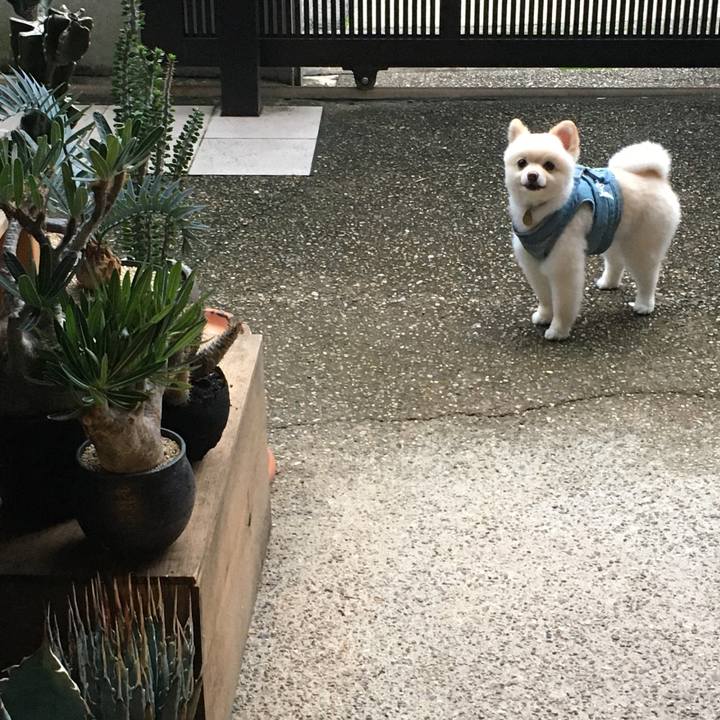 358aa4d2 1eb2 434c 9b41 2e02f34d42a4 1594375671593