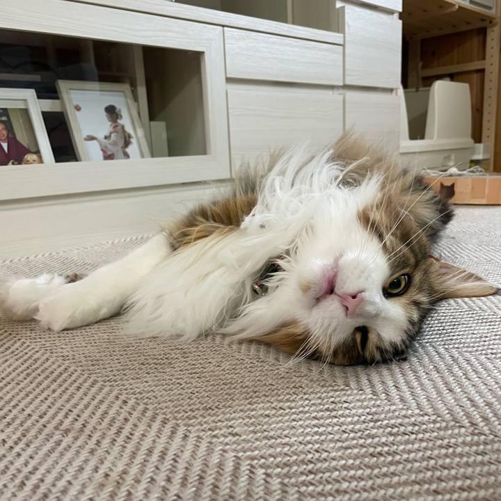 358ae3d2 eb83 4541 8e62 99c41313bd4b 1682457981279