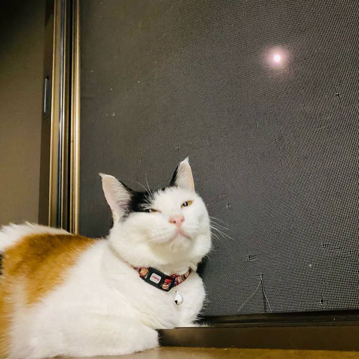 358b0453 1f51 481d b0bd 58b89207c113 1660401682606