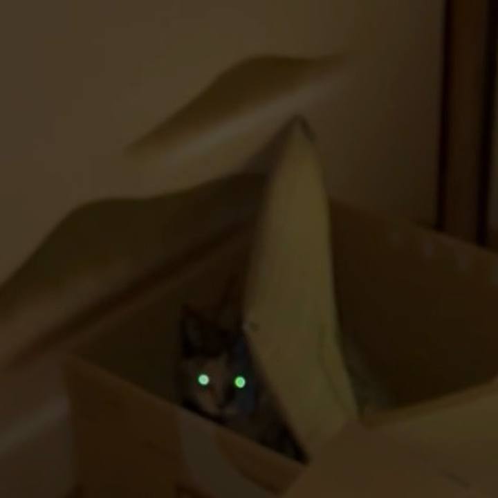 358b0dd9 5e7d 412e 9091 bc4b74c3ef22 1752785692929