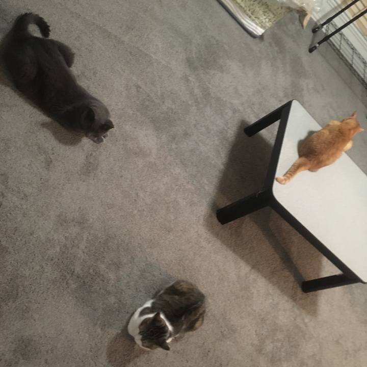 358b1250 4f36 417e b3b6 362f6ae70bcf 1661989296086