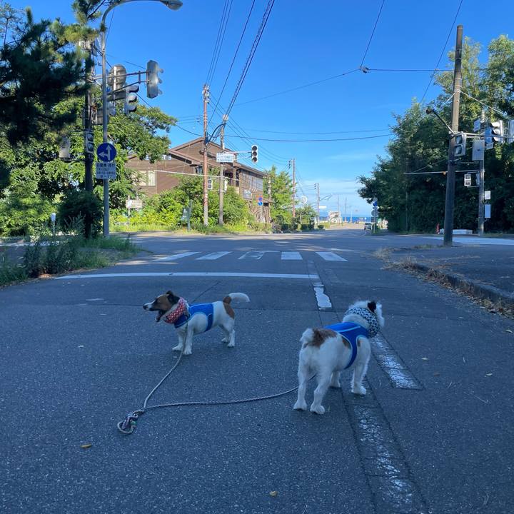 358b3d23 1e26 4c26 8bbf ba9474a68bcb 1691537166064