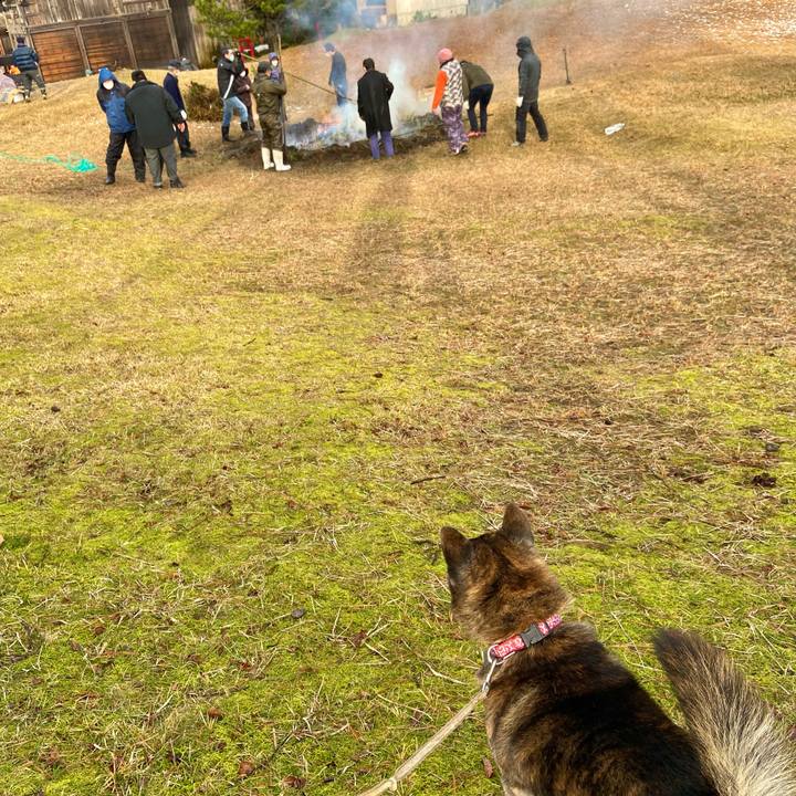 358b5fa3 224f 40d4 a91e 10ccfc82bdc2 1642290286504