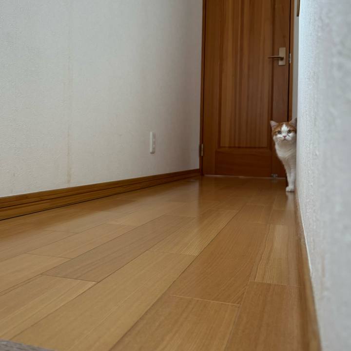 358b6b8b 315d 461c b504 86feba90ef90 1774487042842