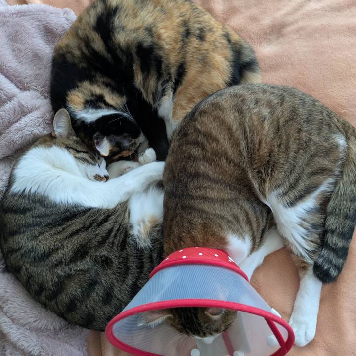 358b71b0 eac2 4f41 8a99 4f2439291e7d 1773733493352