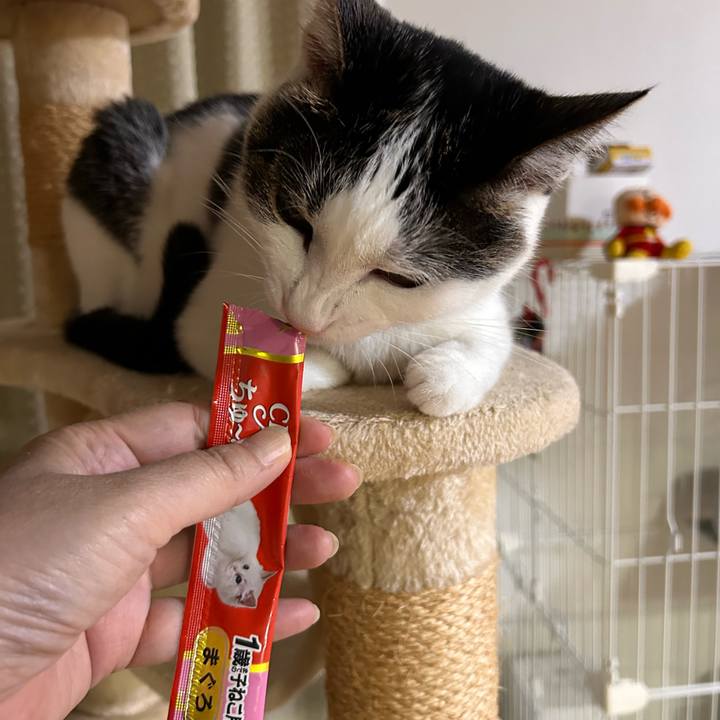 358b8178 15b8 4e1a 85ee 87c36cbdf5d8 1723125507315