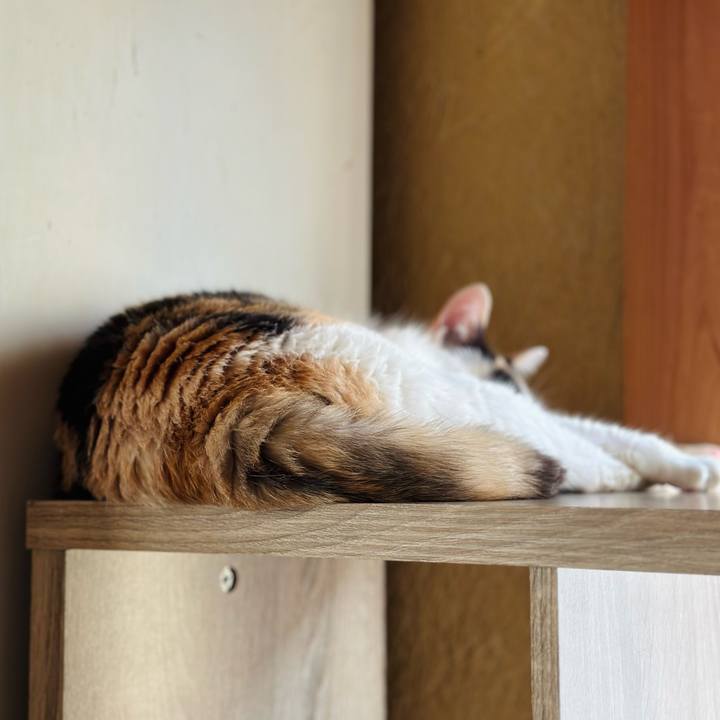 358b8451 d366 419e 8a5d d70565d80d7f 1722208726572