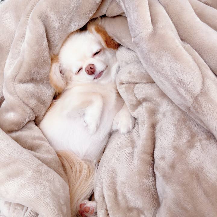 358b97db 0c22 4502 a88e 65c180ac5cf4 1691670149892