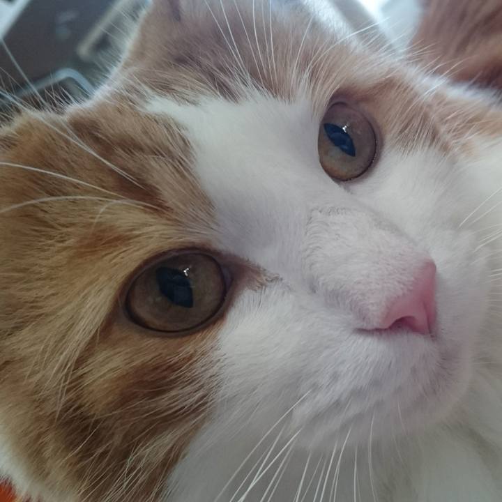 358badba 164d 45df b419 ae7efbee8ab4 1513555262274