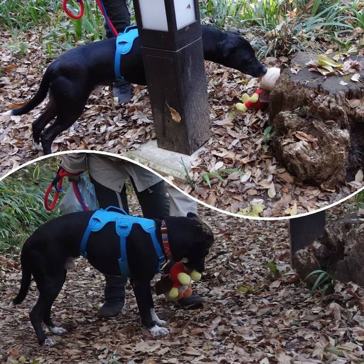 358bc010 8afd 47bb a21d a3726558e315 1608077249484