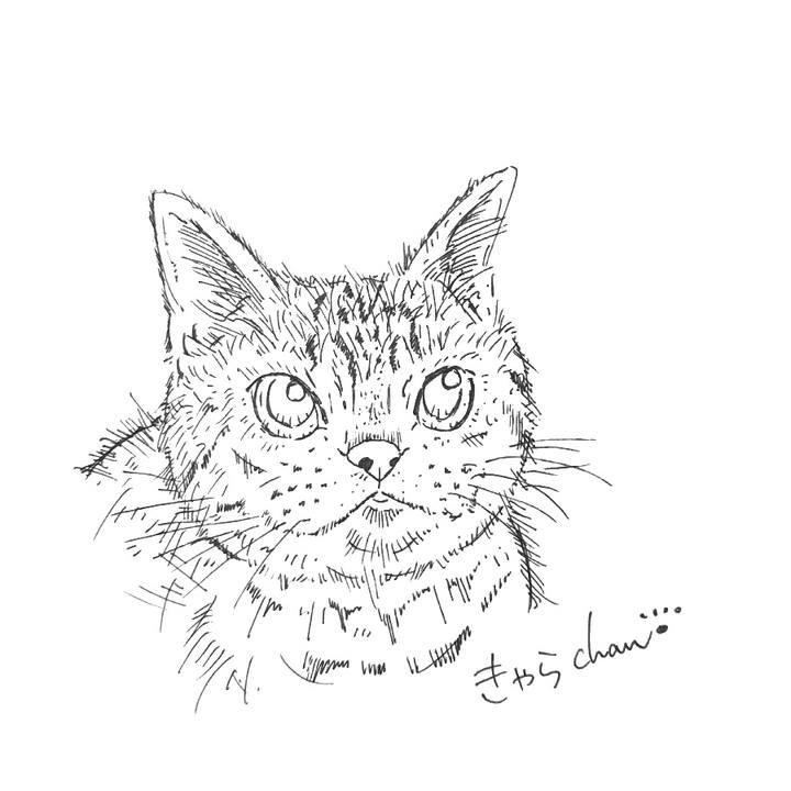 358bc5c9 79c0 4474 bf43 7f00a23b72e9 1582036427489