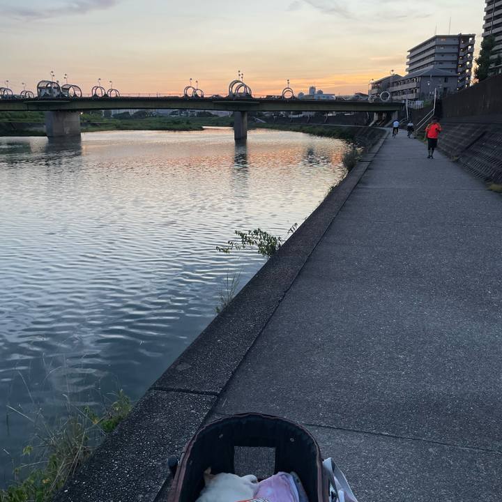 358be4d6 c192 4c5f ab1d 93cfb20b856b 1661434759002