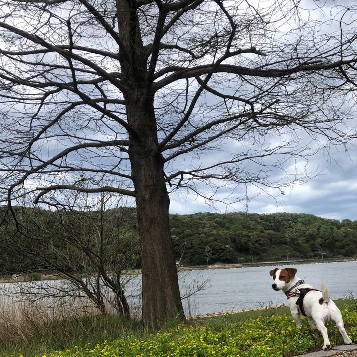 358ca19b 6ede 4605 b0eb f6ca8f6c32e6 1556092884818