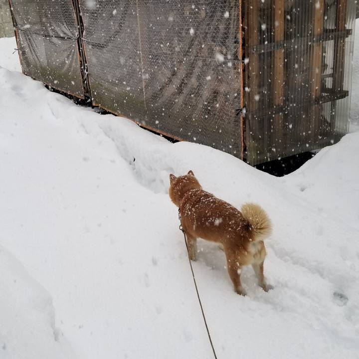 358cb1ea 22fe 4b7a b83f 937b289795c3 1738624800172