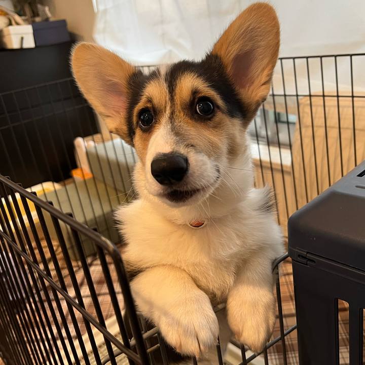 358cd6e5 91d6 422d a562 0d0a2f50dda4 1773104305679