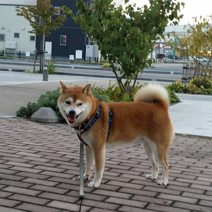 358ceaf7 7f51 4953 a3bc e636dc94b587 1507709538420