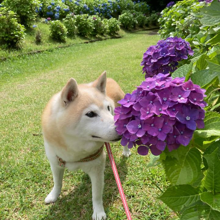 358cf111 97f7 45b7 bc6f 63719be4da8b 1698940005182