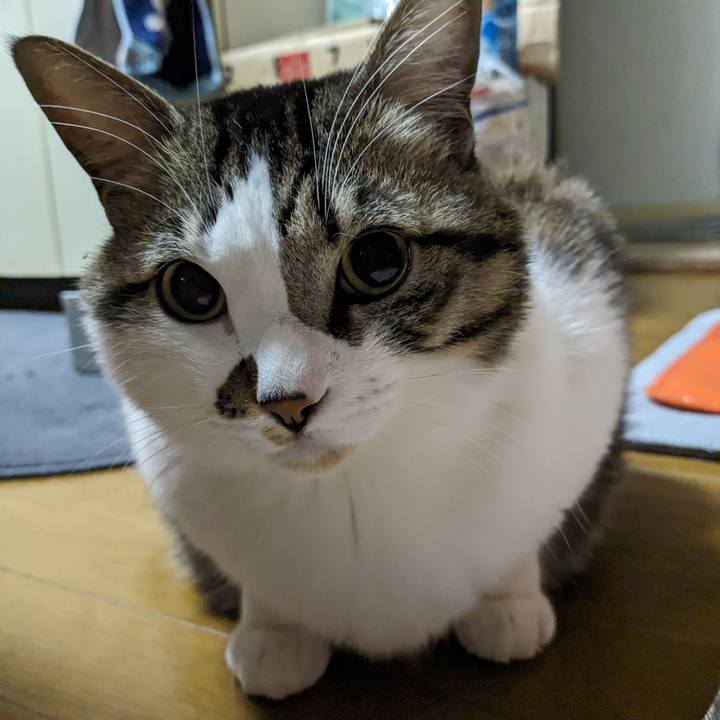 358cfd31 710e 40d9 a490 7fd8bf0ae987 1707341959449