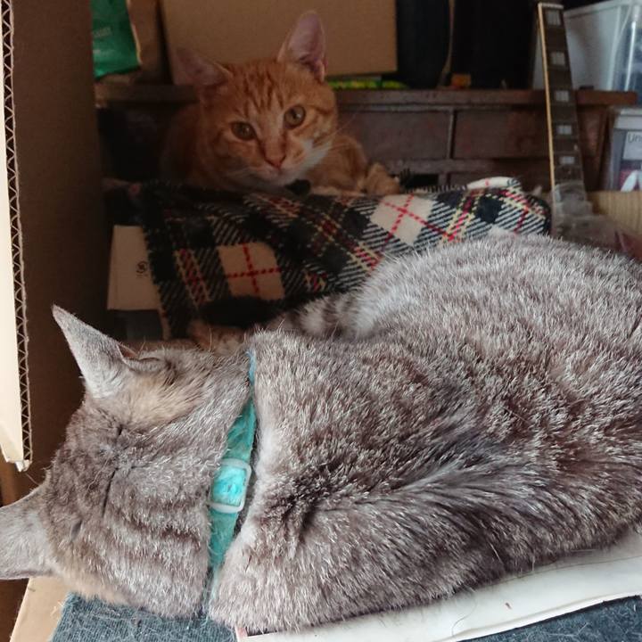 358d03cf 3172 4dbb be0f 8a9eb978699f 1563688125191