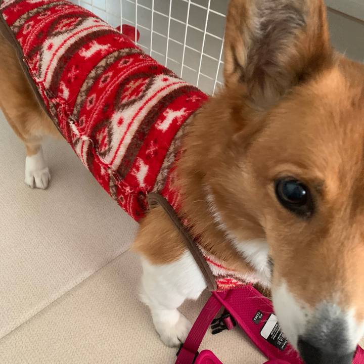 358d17f1 0b79 4189 b519 d34bc7ca419b 1672992379052