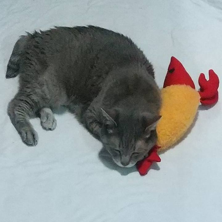 358d3025 f36e 4439 8b92 10a7379e14a0 1672605556375