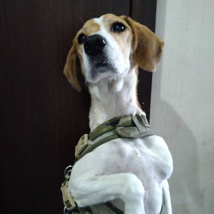 358d340d 7b53 4981 9d73 723fdc40213e 1671714772545