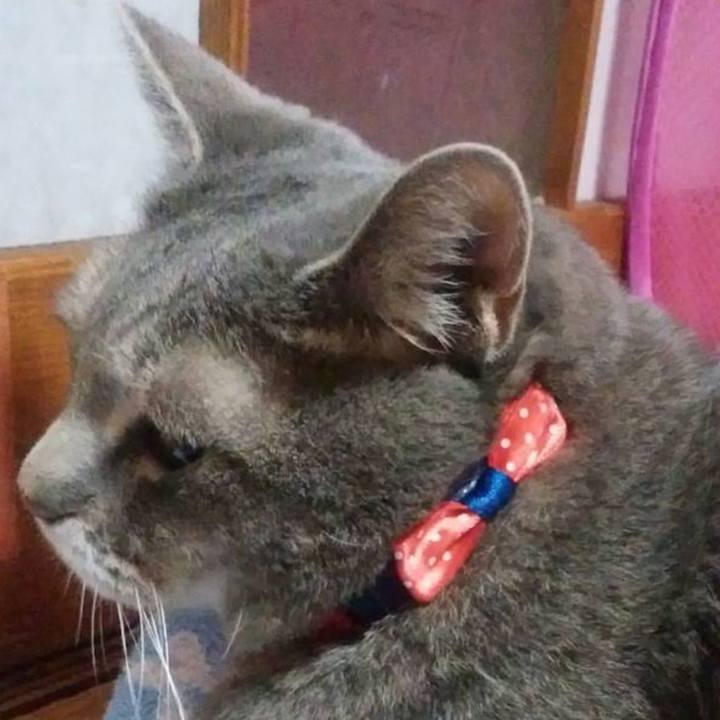 358d4d23 e9d6 41dc 9e26 603d7301feea 1733613700279