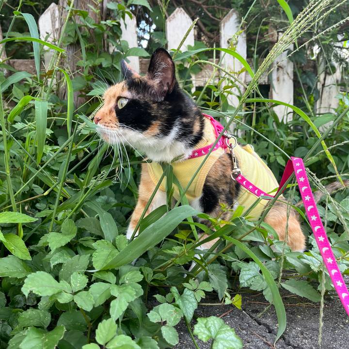 358d6cc1 7f2f 4389 bb8f 75280eb55da1 1660309205149