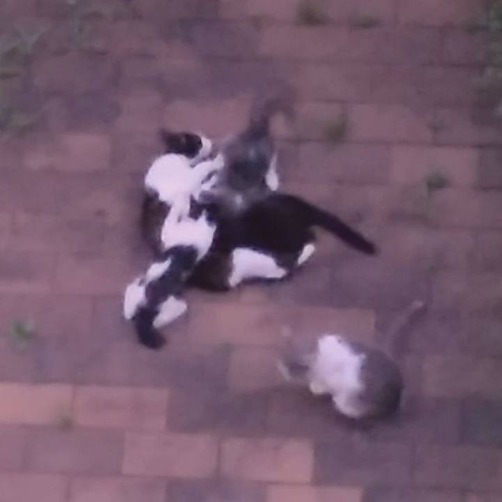 358d87ee 96b2 4df6 b92c 6b10f2a245ce 1530700369358